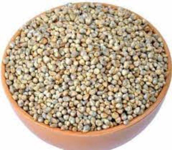 Bajra Millet - 25kg